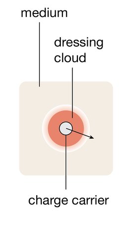 A (magnetic) polaron forms when a hole (or charge carrier) travels through a medium and locally polarizes the medium. This local distortion of the medium is called a dressing cloud.